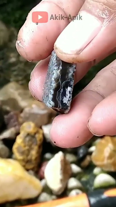 Download lagu Wow! Permata Hitam Yang Cantik! Ini Bahan Batu Akik Yang Saya Temukan di Tepi Sungai #akik #batuakik