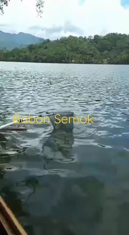 Babon Semok