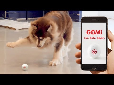 gomi smart ball