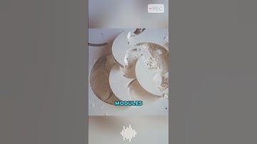 de persoon die de fractale bankschroef heeft uitgevonden, was werkelijk een genie