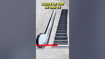 Why do Escalators have Those Side Brushes?  #facts #viral #funfacts #shorts #animation #mystery