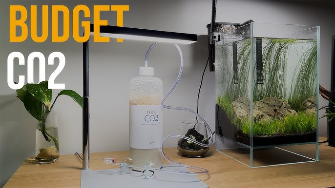 Guia para instalar Co2 en acuario plantado 