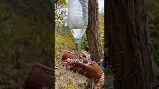 Survival Skills Mom Shows How To Make Useful Soap And Water In Forest