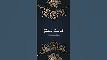 إِنَّ الْمُجْرِمِينَ فِي ضَلَالٍ وَسُعُرٍ _تلاوة من أواخر سورة القمر بصوت الشيخ فارس عباد
