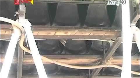 TPHCM Xiếc thời khó khăn Hót clip vui hay hài hước 2014