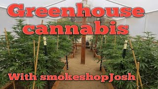 Greenhouse cannabis episode 8