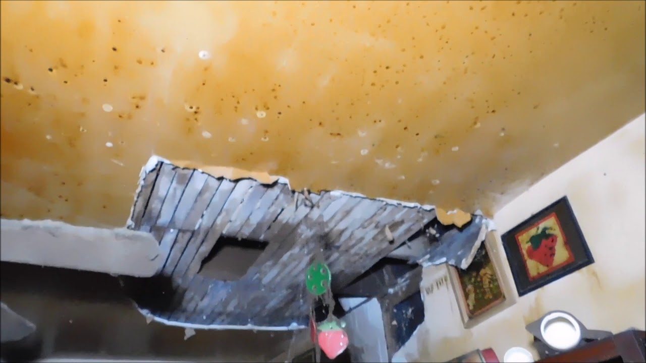 March 2018 Terry's purchase from the Dayton Land Bank