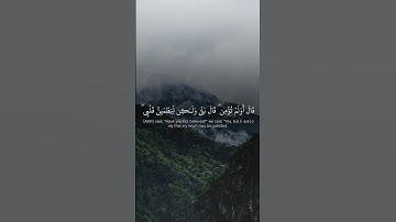 وإذ قال إبراهيم ربي أرني كيف تحيي الموتى:- تلاوة خاشعة قرآن كريم