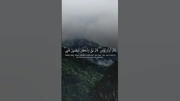 وإذ قال إبراهيم ربي أرني كيف تحيي الموتى تلاوة خاشعة قرآن كريم 
