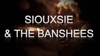 Siouxsie and The Banshees - Into The Light (Live-Lyrics)