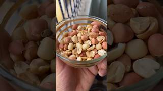 All About Peanut Protein