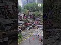 ⚡️ Гигантское дерево упало на проезжую часть: Трагедия в Малайзии #shorts