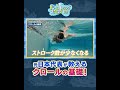 3)ダイジェスト「クロールが速くなるための3つのポイントを元日本代表の松本弥生が徹底解説!」