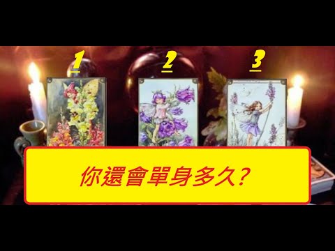 JJ-塔羅牌-測80你還會單身多久.