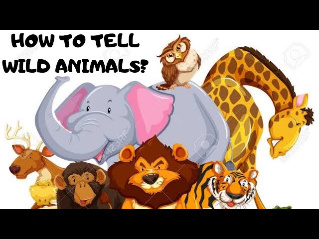 How To Tell Wild Animals - POEM SUMMARY (HINDI) CLASS 10 | FIRST FLIGHT |  By - Sakshi Dixit - YouTube