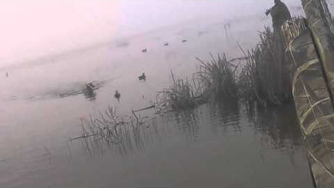 Duck Hunting Yolo Wildlife Refuge - January 20th, 2016