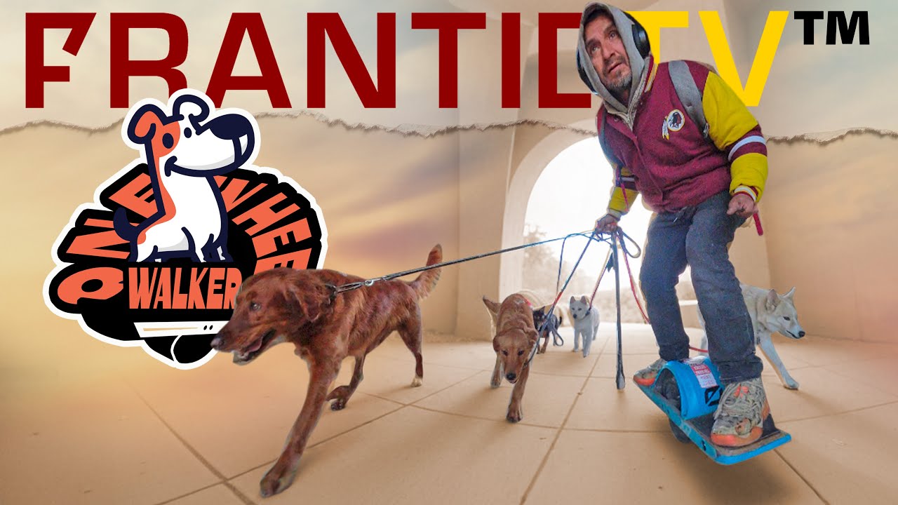 From DC TO Maryland - One Wheel Dog Walker S1E11 - YouTube