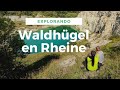 Explorando el Waldhügel en la ciudad de Rheine, Alemania | Así nuestro domingo en bicicleta