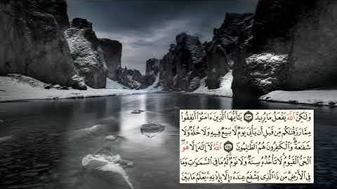 صفحة-42- page سعد الغامدي - -سورة البقرة