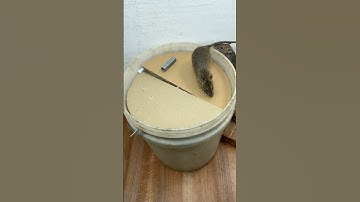 Homemade trap/create extremely effective homemade mouse traps #rat #rattrap #pets