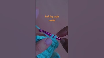 Back Loop Single Crochet |Fast Tutorial for beginners #crocheting #shortvideo #craft #fyp #creative