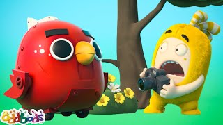 ถ่ายภาพนก | Oddbods | การ์ตูนสนุกๆ สำหรับเด็ก