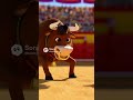 Frog bullfighting #soraai