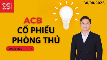 Cổ phiếu ngân hàng ACB - Cổ phiếu phòng thủ có đáng để đầu tư ?
