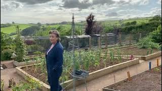 Welcome to my Devon Garden