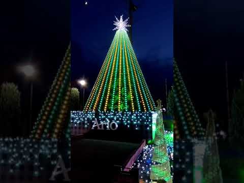 ウインターイルミネーション｜クリスマスイベント｜フォトスポット#shorts