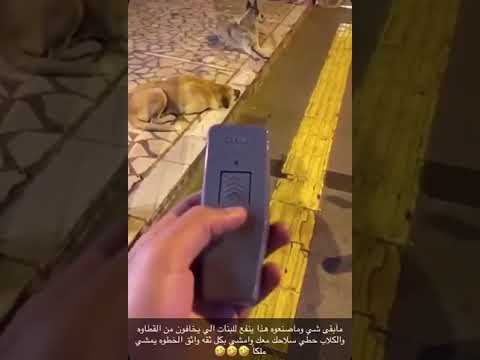 فيديو: محلية الصنع وصفات الكلب الغذاء للفشل الكلوي