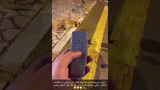 جهاز لابعاد الكلاب والقطط عن طريقك