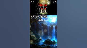 سورة البقرة #القرآن #اكسبلور #القرآن_الكريم #دويتو #سورة_البقرة #تيك_توك #ترند #duet #راحه_نفسيه
