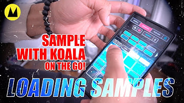 Koala Quick Tips w OkayJJack