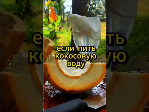Если пить кокосовую воду. #кокос #кокосоваявода #полезно #здоровоепитание #здороваяеда #интересно