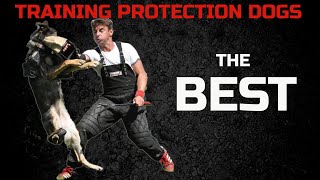 This is how i was  trained protection dog sport at one of my seminars in Germany !!! by Viorel Scinteie Modern Dog Training 33,900 views 4 years ago 11 minutes, 1 second