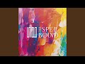 Spinner (Instrumental)
