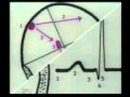 Learning ECG - CARDIAC CYCLE