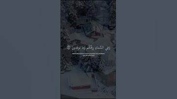 تلاوة خاشعة تريح القلب بصوت القارئ اسلام صبحي | وفي الارض ايات للموقنين