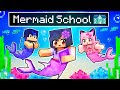 The SECRET MERMAID School in Minecraft!