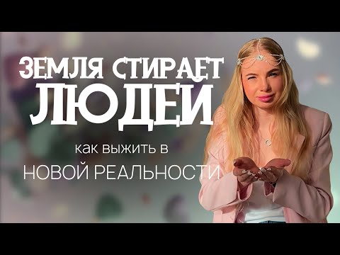 Видео: Как научить собак