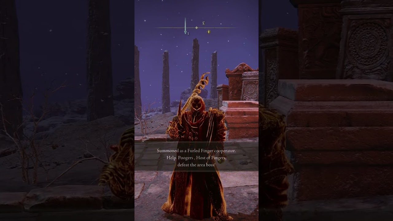 Not The Elden Lord