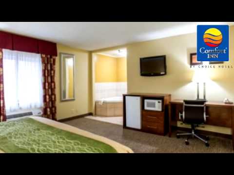 Comfort Inn Columbia Sc Hotel Hotel In Columbia South Carolina