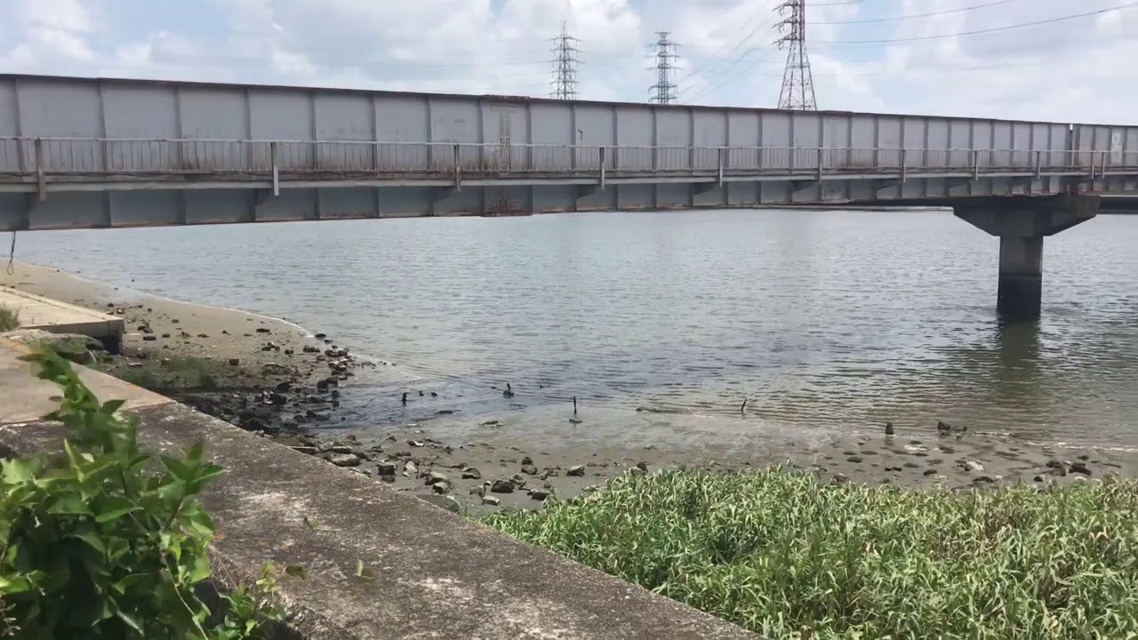 天白川 貨物線路橋脚 シーバス釣りポイント 名古屋港 Youtube