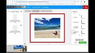 Nielsen Print and Frame Promotion