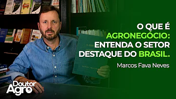 O que é agronegócio dê exemplos?