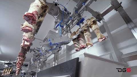 Cattle Stun Box - DGS Processing Solutions