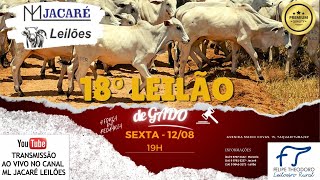 18° LEILÃO DE GADO - 12/08/2022  - ML JACARE LEILÕES - TAQUARITUBA/SP