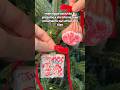 Christmas Craft Idea: Prosciutto &amp; Pizza Air Dry Clay Tree Ornaments #claycraft #italian #christmas