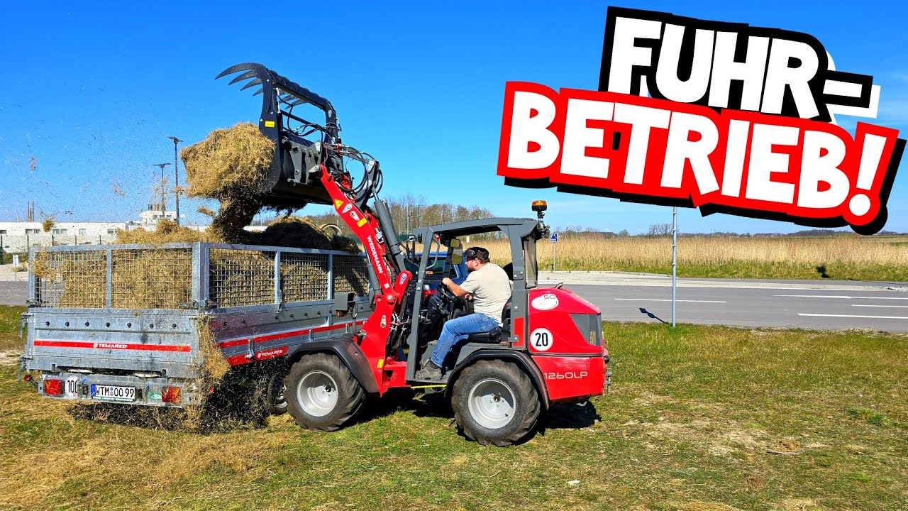 IM AUFTRAG DES (alten) HERRN! | STROMPROBLEM endlich gelöst! | Stämme sortieren | Mr. Moto